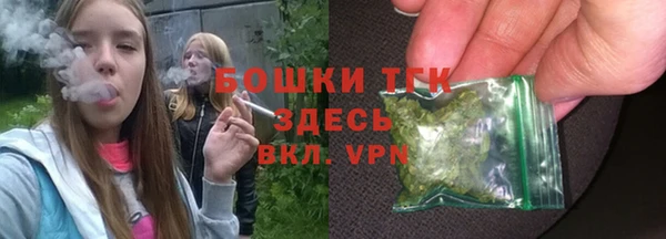 ПСИЛОЦИБИНОВЫЕ ГРИБЫ Абаза
