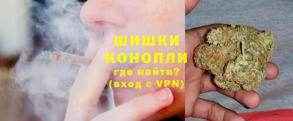 ПСИЛОЦИБИНОВЫЕ ГРИБЫ Абаза