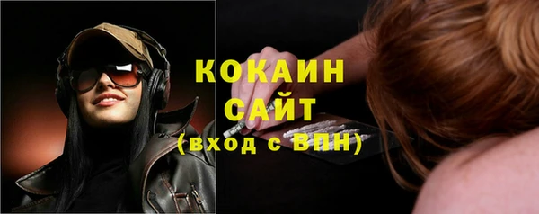 ПСИЛОЦИБИНОВЫЕ ГРИБЫ Абаза