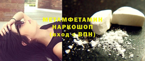 ПСИЛОЦИБИНОВЫЕ ГРИБЫ Абаза