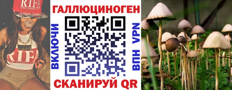 Псилоцибиновые грибы MAGIC MUSHROOMS Кинешма