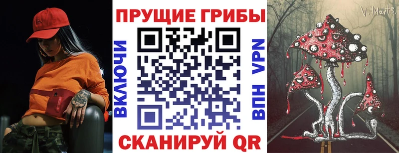 MEGA зеркало Кинешма Галлюциногенные грибы мухоморы где можно купить